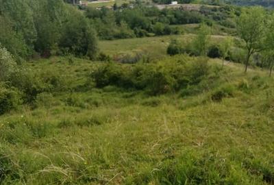 Teren de 4574 mp, în Predeal