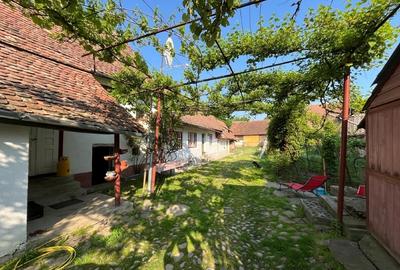 Casă individuală cu 4 camere cu Teren 2500 Mp în Viscri - 4