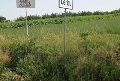Teren de 5000 mp, în Copălău - 1