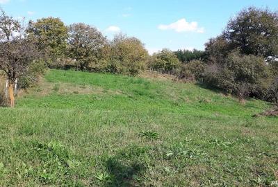 Teren de 4800 mp, în Vidra - 2