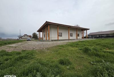 Casă cu Teren 1400 Mp în Valea Nucarilor