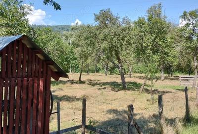 Teren de 9288 mp, în Bucova - 2