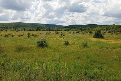 Teren de 1500 mp, în Merișani - 2
