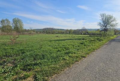 Teren de 8780 mp, în Vărădia de Mureș - 8