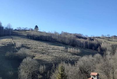 Teren de 12928 mp, în Poiana Mărului - 5