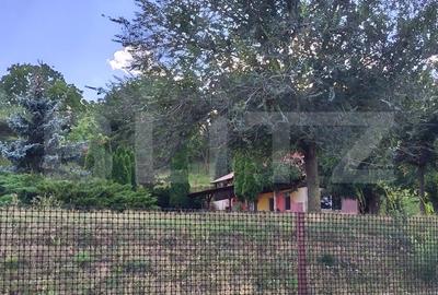 Teren agricol intravilan de 6500 mp, în Mihai Viteazu