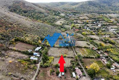 Teren de 3044 mp, în Niculițel - 14