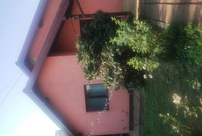 Casă cu 3 camere în Hitiaș - 9