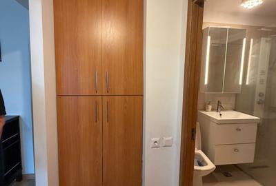 Apartament cu 2 camere semidecomandat, mobilat în Mihai Bravu - 8