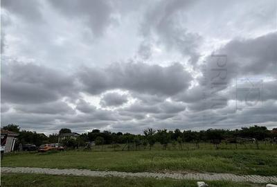 Teren de 600 mp, în Moșnița Nouă