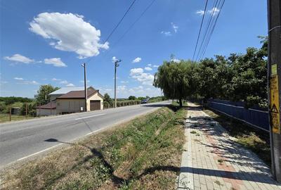 Teren Construcții intravilan de 4800 mp, în Tomești - 2