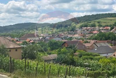 Teren de 1103 mp, în Sud