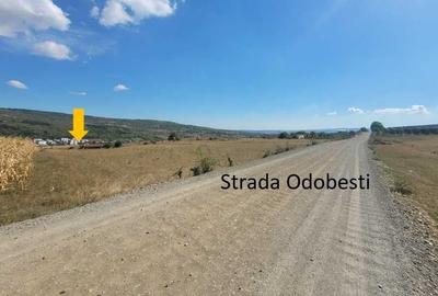 Teren de 900 mp, în Nord