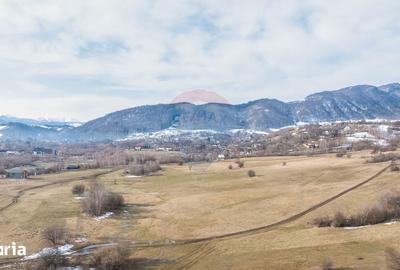 Teren de 4500 mp, în Central - 15