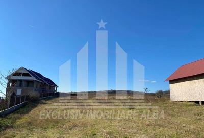 Teren intravilan de 7580 mp, în Pâclișa - 2