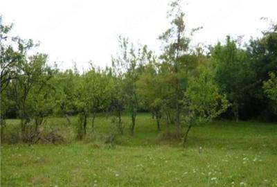 Teren de 3550 mp, în Teișani