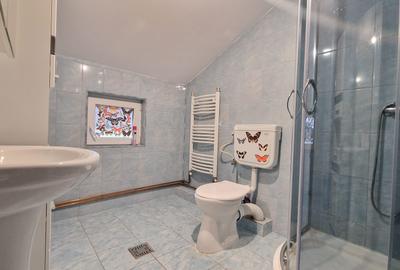 Casă individuală cu 7 camere cu Teren 420 Mp în Buturugeni - 27