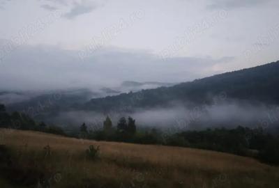 Teren de 1474 mp, în Sălciua - 3