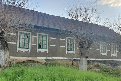 Casă cu Teren 2000 Mp în Valea Mare - 2