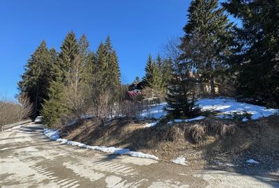 Teren Construcții intravilan de 1664 mp, în Central - 11