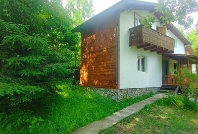 Casă cu 3 camere cu Teren 850 Mp în Central - 4