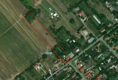 Teren de 4500 mp, în Lilieci