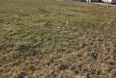 Teren de 1000 mp, în Orheiu Bistriței - 2