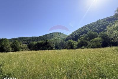 Teren de 19557 mp, în Mărgău