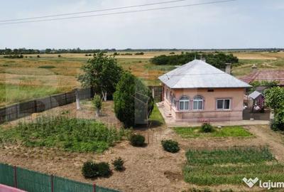 Casă cu 5 camere cu Teren 1400 Mp în Central - 3