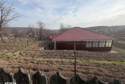Casă cu 4 camere cu Teren 128 Mp în Central - 3