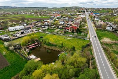 Teren Construcții intravilan de 6000 mp, în Ilișești - 24