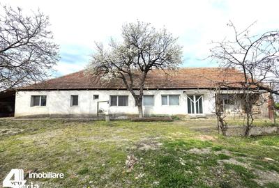 Casă cu 4 camere cu Teren 1737 Mp în Livada - 4