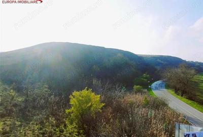 Teren de 2926 mp, în Nufăru - 5