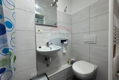 Garsonieră, mobilată în Noua - 5