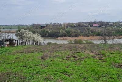 Teren în Drăgoești