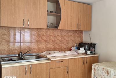 Casă cu 3 camere cu Teren 2826 Mp în Saca - 9