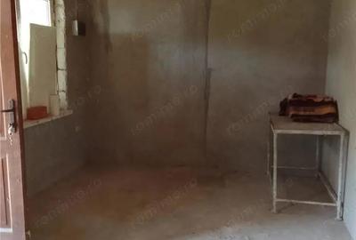 Casă cu Teren 2000 Mp în Pătlăgeanca - 2