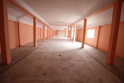 Spațiu industrial, de 400 mp, în Letea - 9