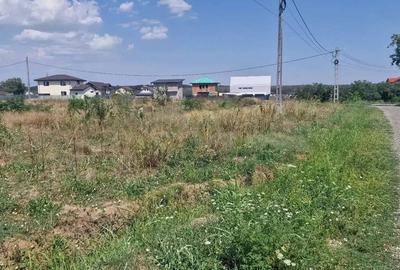 Teren de 1543 mp, în Brănești - 3