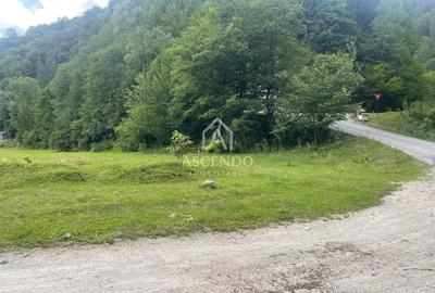 Teren Construcții intravilan de 4500 mp, în Dâmbovicioara - 1