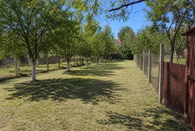Teren Construcții intravilan de 517 mp, în Cantemir