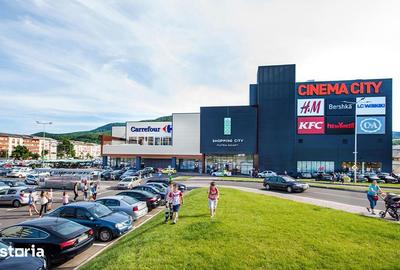 Apartament cu 3 camere, mobilat în Precista - 2