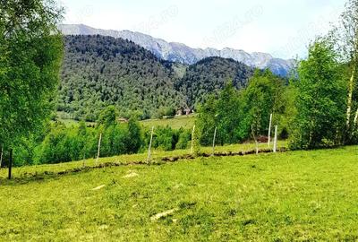 Teren de 8700 mp, în Bran - 1