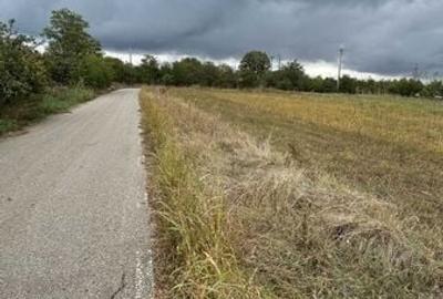Teren de 1400 mp, în Comana - 5