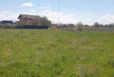 Teren de 1000 mp, în Colonia Bod - 5