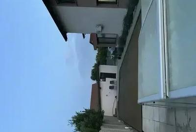Casă cu Teren 800 Mp în Săcălaz - 7
