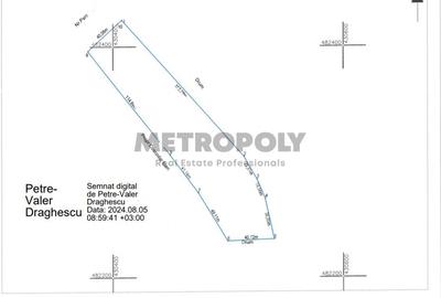 Teren agricol extravilan de 10000 mp, în Vest - 3