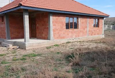 Casă cu 2 camere cu Teren 987 Mp în Peciu Nou - 5