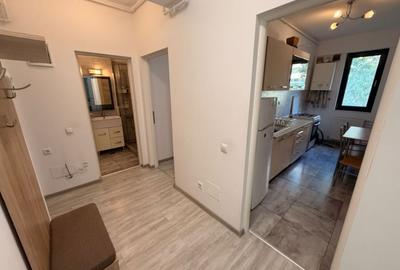 Apartament cu 2 camere decomandat, mobilat în Grozăvești - 20