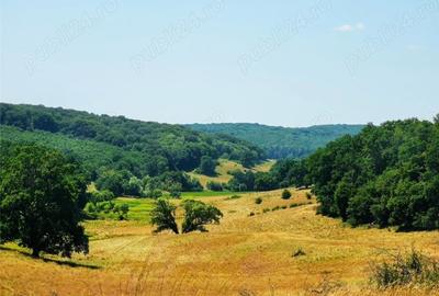 Teren de 50000 mp, în Central - 7